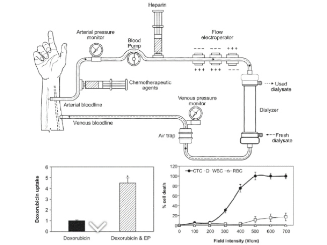 electroporation system